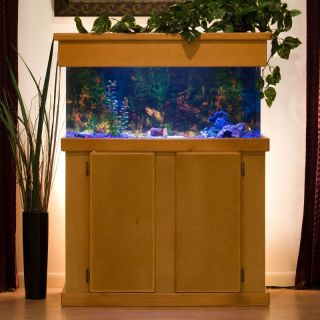 Uniquarium Rectangular Aquarium Black   100R BLACK, 100 Gal (60W x 18D x 20H in.