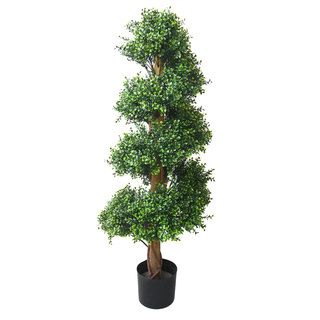 Romano 5 foot Indoor/ Outdoor Boxwood Spiral Topiary Tree