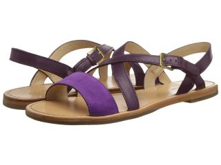Cole Haan Minetta Flat Sandal Womens Shoes (Purple)