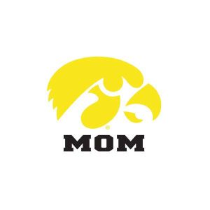 Iowa Hawkeyes Wincraft 3x4 Ultra Decal