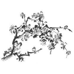 Penny Black Mounted Rubber Stamp 3.5 X4.5  Cherry Blossom